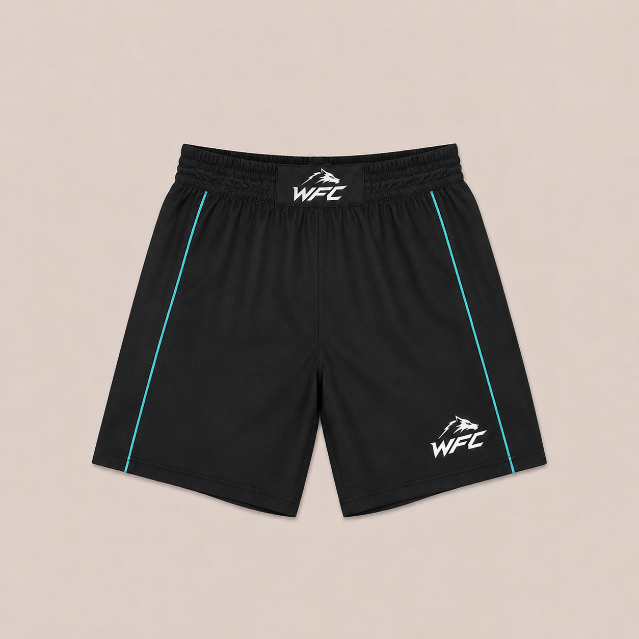 WFC Black Blue Fight Shorts