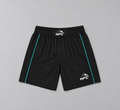 WFC Black Blue Fight Shorts