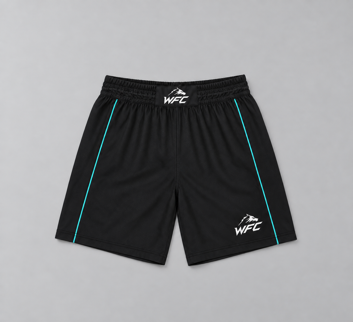 WFC Black Blue Fight Shorts