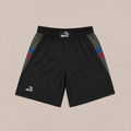 WFC Dagestan Fight Shorts