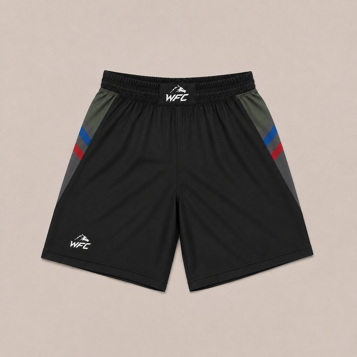 WFC Dagestan Fight Shorts